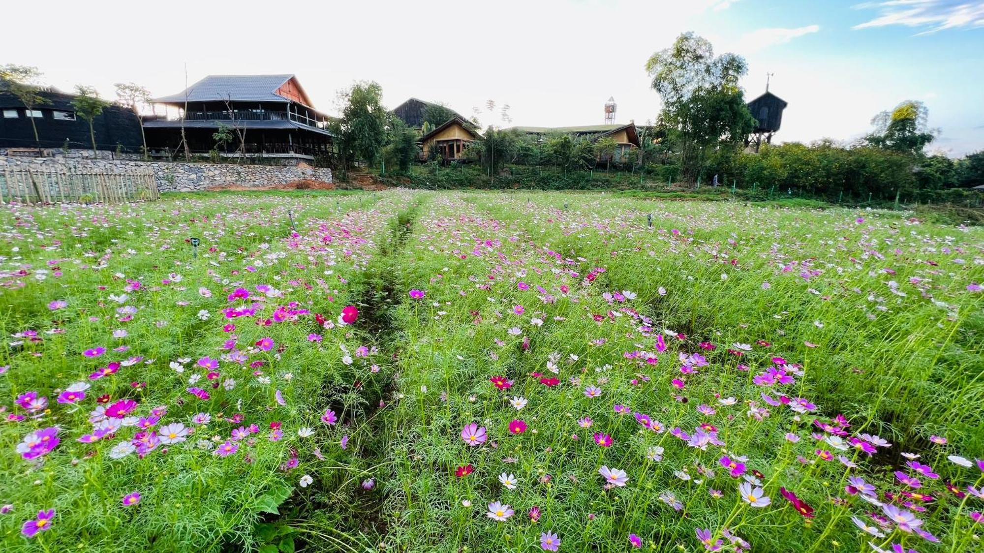 Satoyama Village Luong Son  Buitenkant foto